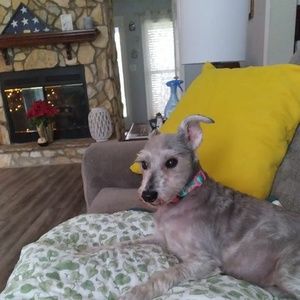 Meet your Posher, Alecia